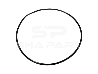 4.20255 Gasket, d: 384.5 mm, D: 403.8 mm, S: 4.2 mm