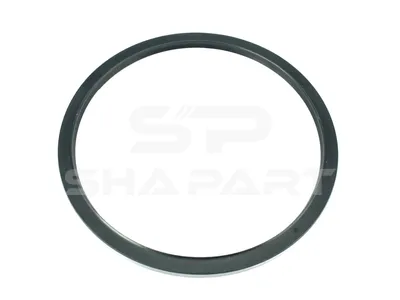 4.20363 Oil seal, d: 170 mm, D: 190 mm, H1: 8 mm, H2: 9 mm