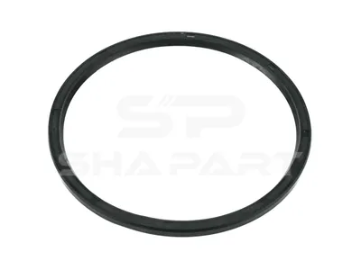 4.20364 Oil seal, d: 170 mm, D: 190 mm, H1: 8.5 mm, H2: 9.5 mm