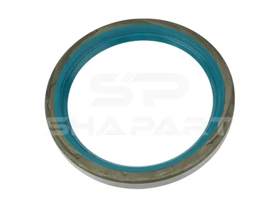 4.20365 Oil seal, d: 100 mm, D: 125 mm, H: 13 mm