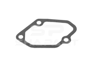 4.20378 Gasket, intake manifold