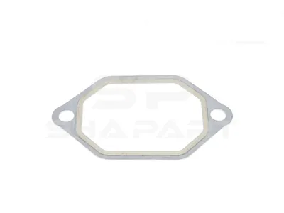 4.20390 Gasket, intake manifold