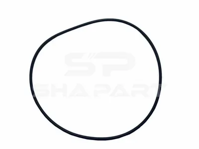 4.20393 O-ring, d: 269 mm, S: 6 mm