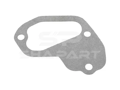 4.20423 Gasket, thermostat housing