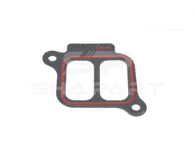 4.20424 Gasket, intake manifold