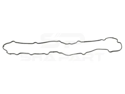 4.20438 Oil sump gasket
