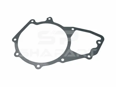 4.20451 Gasket, water pump