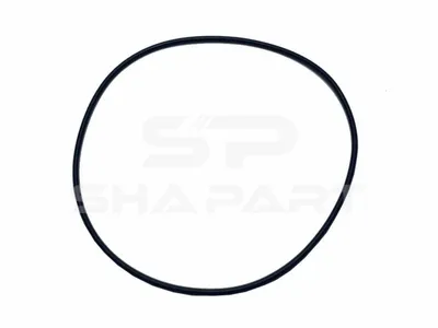 4.20455 O-ring, d: 139.5 mm, S: 3 mm