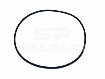 4.20456 O-ring, d: 147 mm, S: 3 mm
