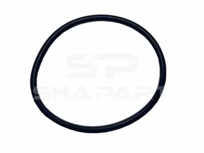 4.20459 O-ring, d: 55 mm, S: 3 mm