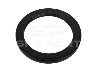 4.20475 Oil seal, d: 100 mm, D: 130 mm, H: 11 mm