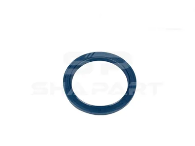 4.20491 Oil seal, d: 75 mm, D: 95 mm, H: 10 mm