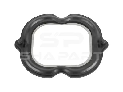 4.20495 Gasket, intake manifold