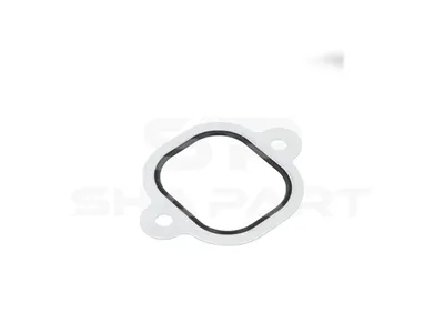 4.20501 Gasket, intake manifold