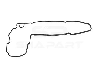 4.20505 Gasket, timing case