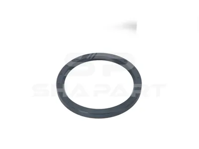 4.20512 Oil seal, d: 145 mm, D: 175 mm, H: 15 mm