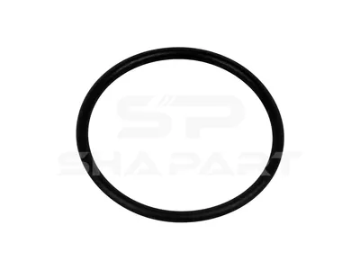 4.20524 O-ring, d: 22 mm, S: 1.6 mm