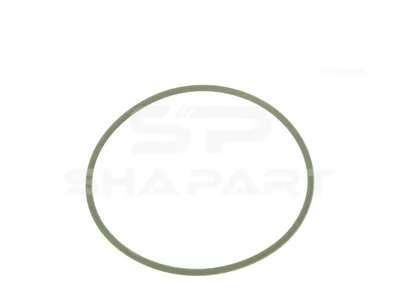 4.20548 O-ring, d: 77 mm, S: 2.5 mm