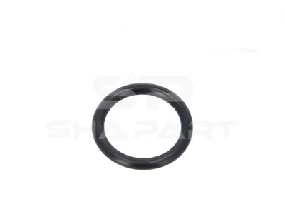 4.20555 O-ring, d: 19 mm, S: 3 mm