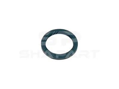 4.20589 Oil seal, d: 62 mm, D: 80 mm, H: 10 mm