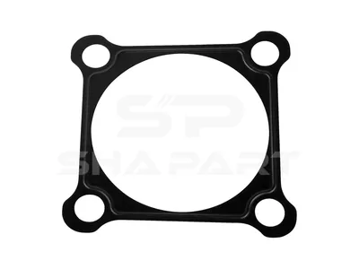 4.20591 Gasket, power-take-off