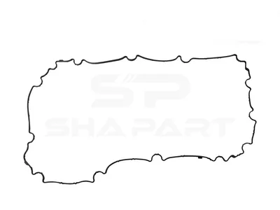 4.20597 Oil sump gasket