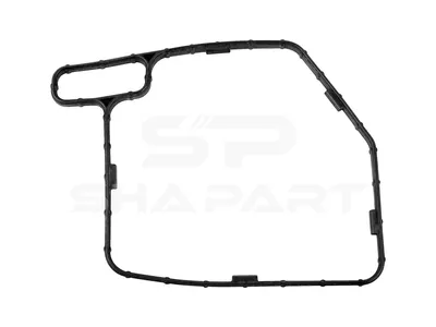 4.20598 Gasket, timing case