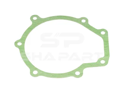 4.20651 Gasket, water pump