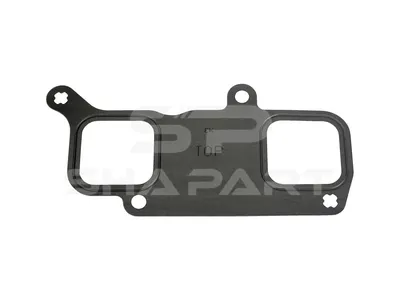 4.20655 Gasket, intake manifold