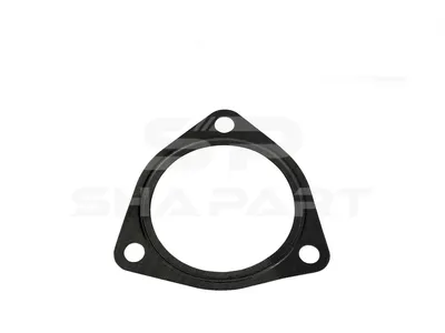 4.20656 Gasket, fuel pump