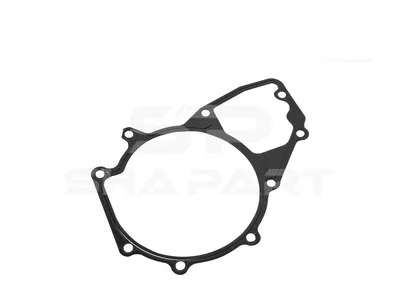 4.20698 Gasket, water pump