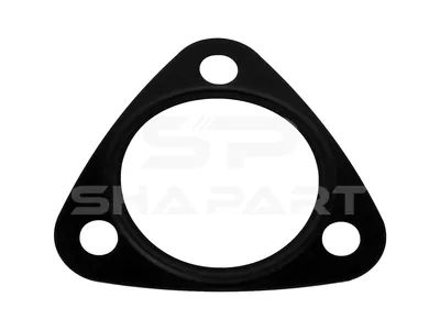 4.20700 Gasket, differential lock