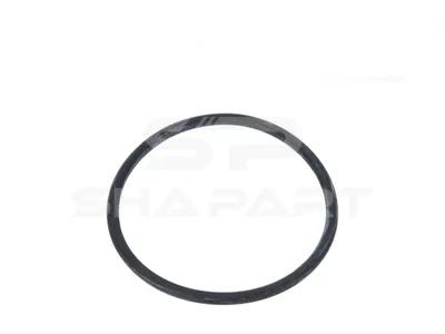 4.20723 O-ring, thermostat, d: 60 mm, S: 3.5 mm