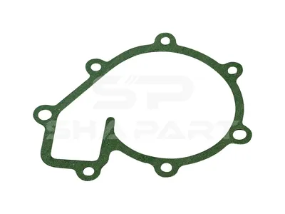4.20791 Gasket, water pump