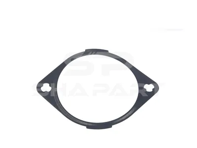 4.20856 Gasket, timing case cover