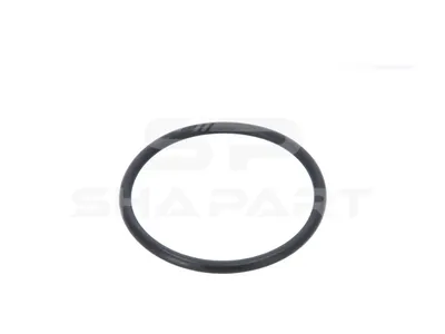 4.20878 O-ring, D: 70.8 mm, S: 5.1 mm