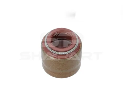 4.20880 Valve stem seal