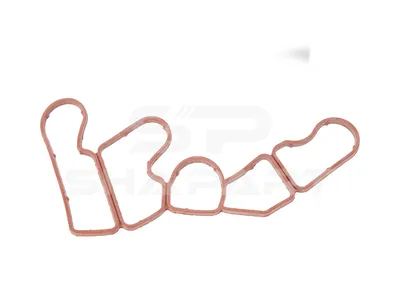 4.20893 Gasket, Oil cooler