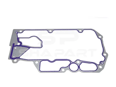 4.20898 Gasket, oil cooler