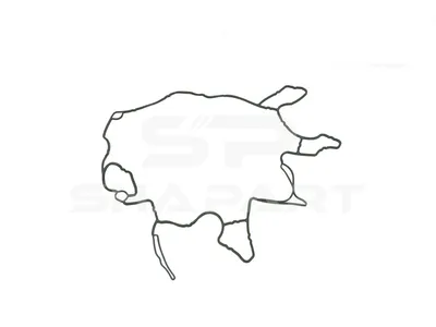 4.20910 Gasket, timing case cover