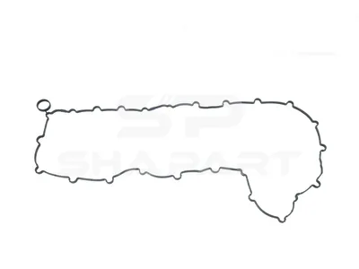4.20952 Oil sump gasket