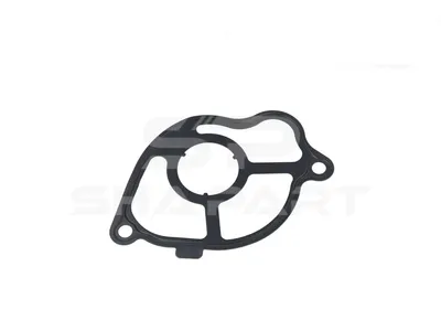 4.20980 Gasket