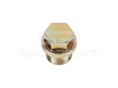 4.30007 Screw plug, M18 x 1,5