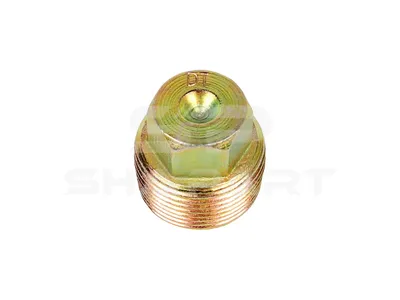 4.30008 Screw plug, magnetic, M24 x 1,5