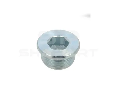 4.30279 Screw plug, oil sump, M26 x 1,5