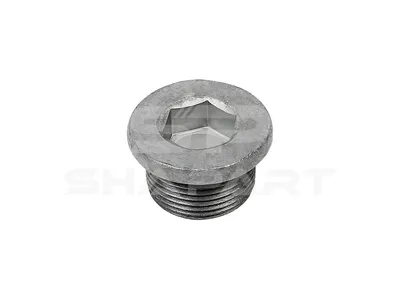 4.30290 Screw plug