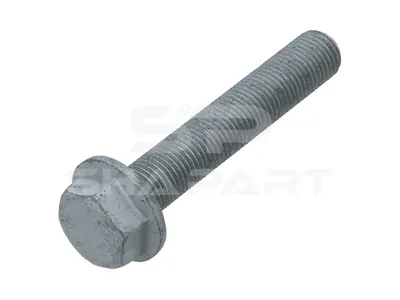 4.40015 Screw, M14 x 1,5, L: 80 mm