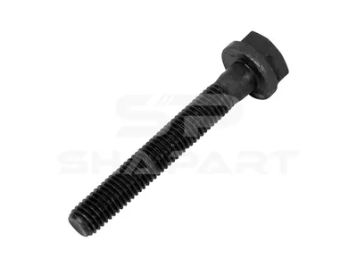 4.40089 Screw, M10 x 1,5, SW: 16, L: 70 mm, 12.9