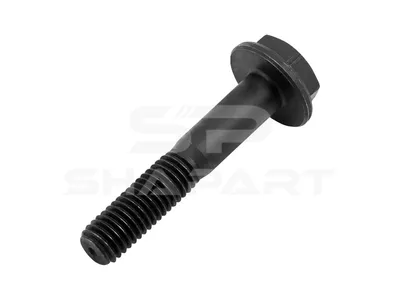 4.40107 Screw, M10 x 1,5, L: 54 mm