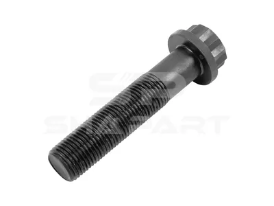 4.40132 Screw, M16 x 1,5, SW: 19, L: 74 mm